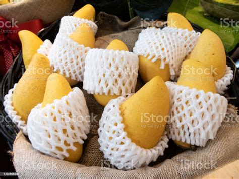 Caderno De Atividades Para Educação Infantil 5 Anos Em Pdf - Ripe Nam Dok Mai Mangoes Are Delicious Sweet Fruits From Thailand Stock ...