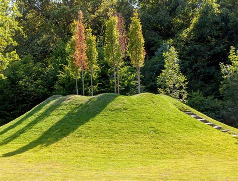 Garden Ideas: Use a Mound Garden to Showcase Your Plants or Flowers