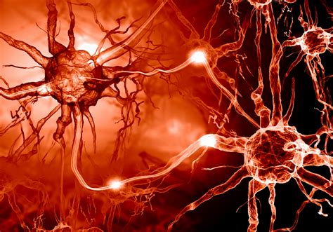 temperature affects people  multiple sclerosis brain blogger