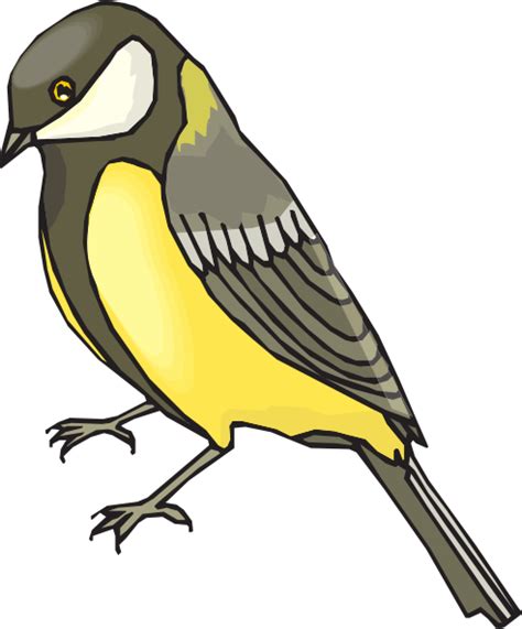Goldfinch like clipart 20 free Cliparts | Download images on Clipground