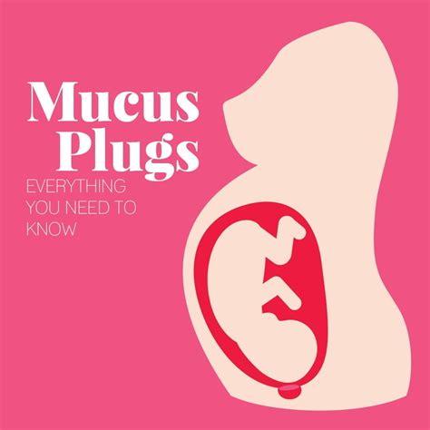 What Does A Mucus Plug Look Like Pregnancy - What Does