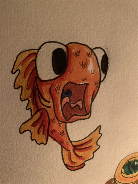 can fish scared naturally 2