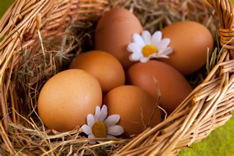 Яичная диета на 4 недели: подробное меню, результаты, отзывы врачей и ...