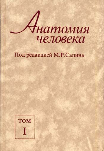 Учебник Анатомия Человека Привес - volumemovement