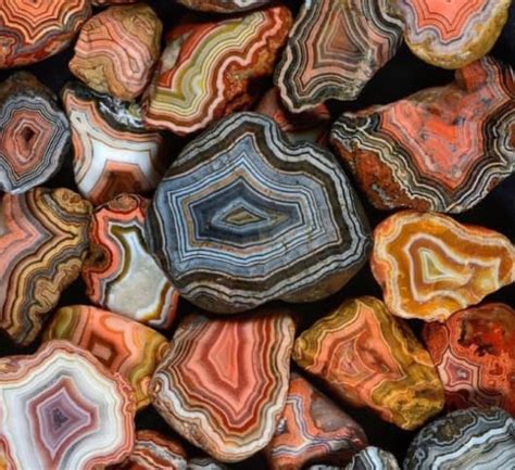 Fairburn Agate | South Dakota's Most Sought-After Rock