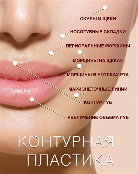 Контурная пластика филлерами в СПб | клиника «Ева»
