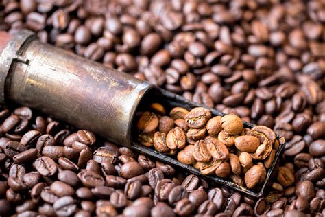 Understanding Coffee Roast Levels: How We Roast at The Silo on Mower