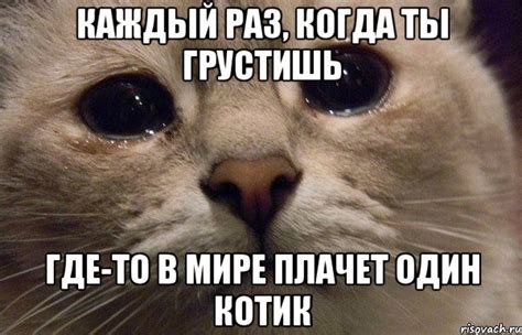 каждый раз, когда ты грустишь где-то в мире плачет один котик, Мем В ...