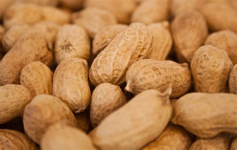 Imágenes de Cacahuates | Vectores, fotos de stock y PSD gratuitos