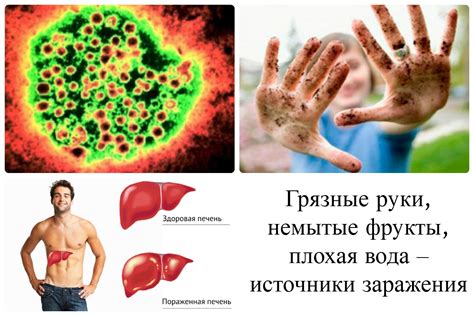 Источник гепатита А - Медицина и Здоровье