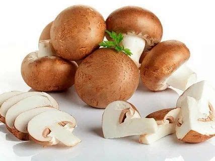 ЗооМАМА Грибы сушеные Шампиньоны 60г. 1шт. - купить с доставкой по ...