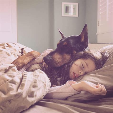 Instagram | Doberman pinscher dog, Doberman puppy, Doberman pinscher