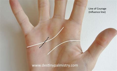 The Mars Line Shows You're Awesome. - Destiny Palmistry | Palmistry ...