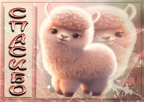 Игривая открытка с ламой Спасибо- Скачать бесплатно на otkritkiok.ru