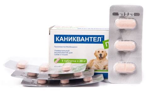 Каниквантел для кошек от глистов: инструкция по применению, дозировки и ...