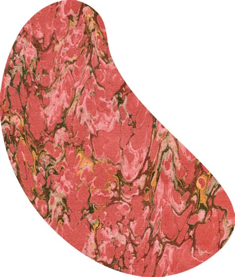 How to plan a budget-friendly road trip - Roadtrippers