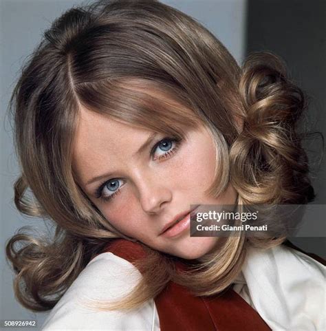 135 Gorgeous Cheryl Tiegs Stock Photos, High-Res Pictures, and Images ...
