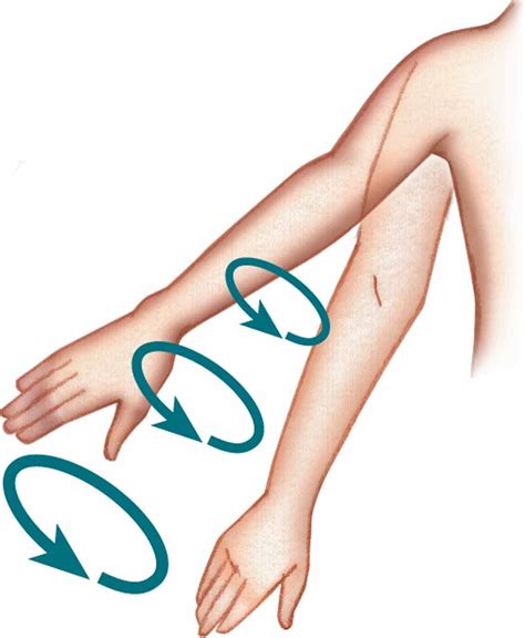 circumduction (moving a body part in circles) | Body, Anatomy, Movement