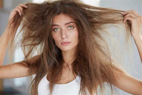 Cabelo Opaco E Sem Brilho - Como recuperar o cabelo sem brilho, áspero e opaco | Blog Donna Hair
