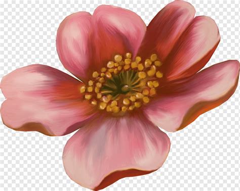 Desenho de flores, flores pintadas à mão, decoração floral, Pintura em ...