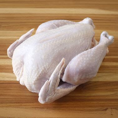 buy chicken  organic  range chicken  sale shop dartagnan