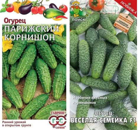 Огурцы для открытого грунта для подмосковья: лучшие сорта