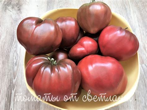 Фиолетовое/Пурпурное Сердце (ПРОЕКТ "DWARF TOMATO") - семена томатов