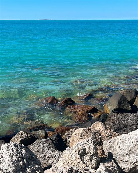 Riley Becca | Dreaming of summer 🌴 | Instagram