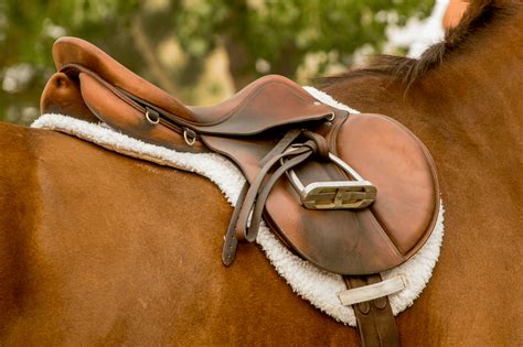 5 Best English Equitation Saddles for Show Ring Success - Horse Rookie