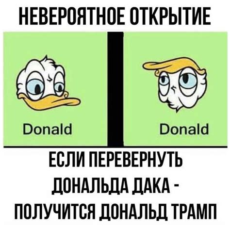 Дональд Дак — Абсурдопедия