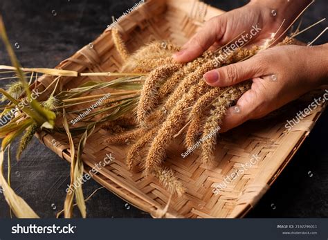 millets women india images stock  vectors shutterstock