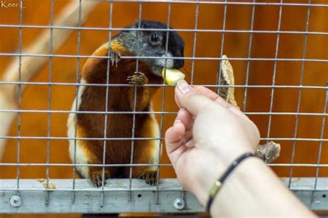 Touching Zoo (Tula) - 2020 All You Need to Know BEFORE You Go (with ...