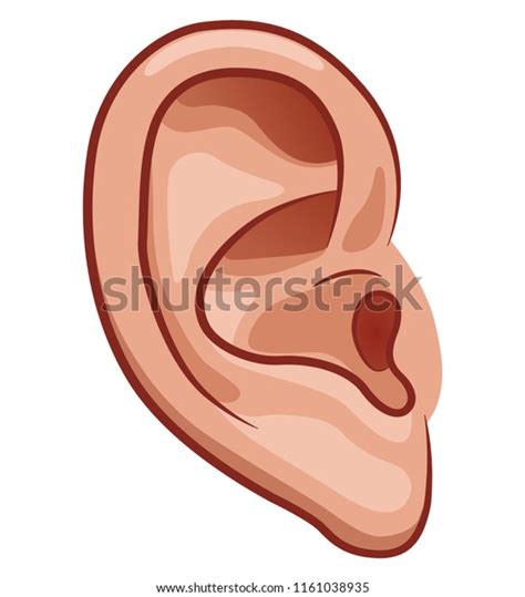 1,959 Clipart Ears Listening Royalty-Free Photos and Stock Images | Shutterstock