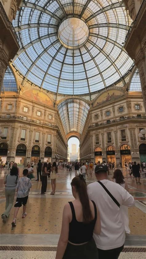 Dancing+Bear+Full+Videos+Free Videos, Download The BEST Free 4k Stock