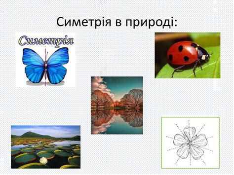 Симетрія - презентация онлайн