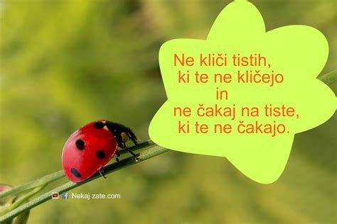 Lepe misli v slikah - 14 lepih misli za vas • Nekaj Zate