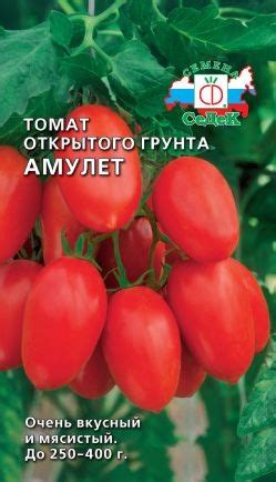 Томат Амулет: описание сорта, отзывы, фото | tomatland.ru