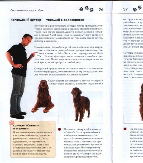 Книга: Дрессировка собак. Секреты опытного кинолога - Консуэло Компс ...