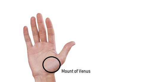 Mount of Venus Palmistry – Reading and Meaning