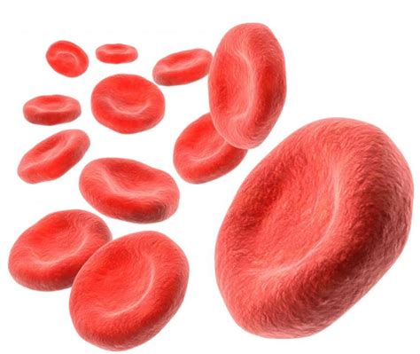 Low Hemoglobin | New Health Guide