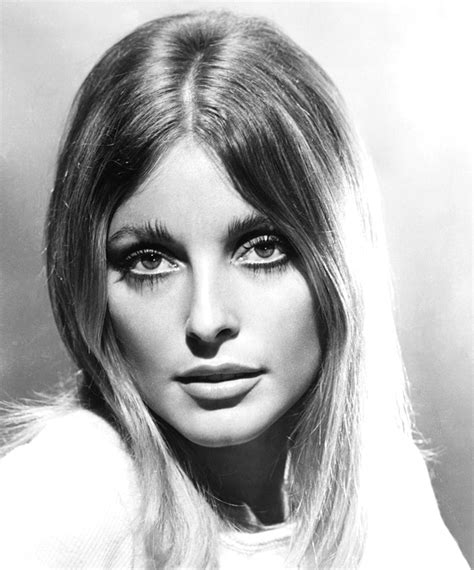 Sharon Tate - Biography, Height & Life Story | Super Stars Bio