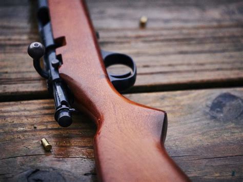 How to Clean a 22 Rifle: 5 Essential Steps - How to Clean Things