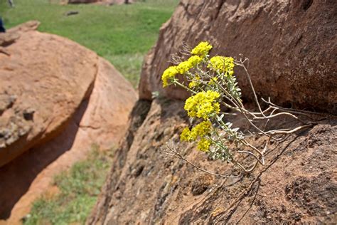 Самангульские Красные камни