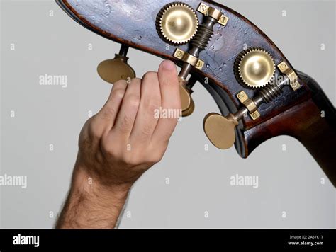 Man Tuning his Double Bass Stock Photo - Alamy