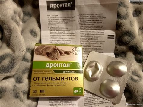 Таблетки от глистов для собак: отзывы, рейтинг лучших, инструкции