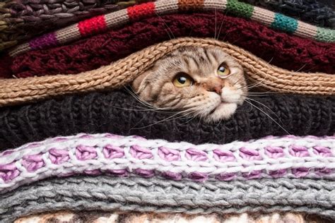 Как растянуть шерстяную вещь, причины усадки шерстяных вещей