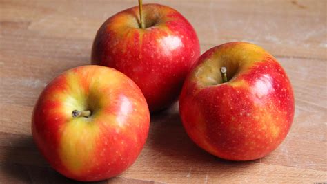 La Pomme A Toutes Les Sauces Plus De 120 Recettes 2