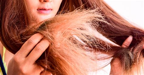 Como Tirar O Ressecado Dos Cabelos - Cabelo ressecado: dicas de como cuidar e manter os fios brilhantes