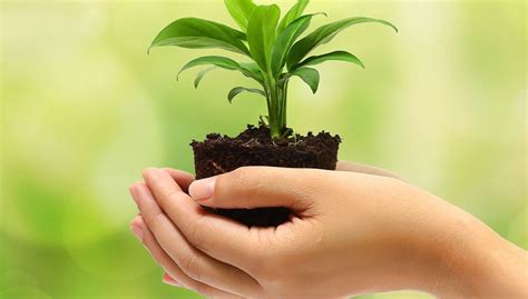 ambiental carrocerias paludo