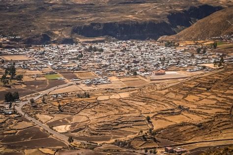 page  chiva images    freepik